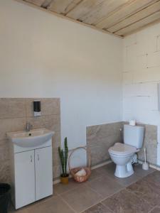a bathroom with a sink and a toilet at Aimasas Camping in Lielie Unguri