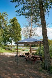 Aimasas Camping في Lielie Unguri: طاولة نزهة مع مظلة بجوار شجرة