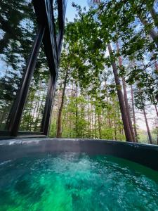 a swimming pool with trees in the background at Premium Forest Bungalow with Ofuro Tub in Luokesos Sen