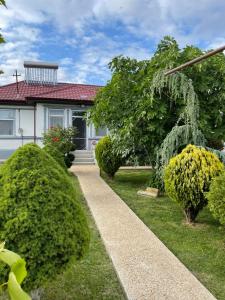 a house with bushes in front of it at Casa Arts Vadu in Vadu