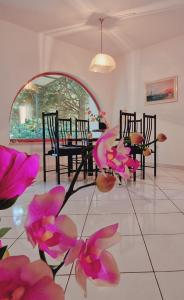 a living room with pink flowers on the floor at SWIM and CLIMB BAŠKA HOLIDAY HOUSE - island KRK in Draga