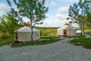 two yurt tents in a field with trees at Gala park fpv in Avren