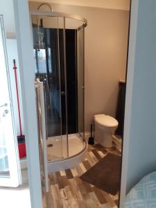 uma casa de banho com um chuveiro e um WC. em Mini Loft em Saintes