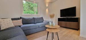 a living room with a blue couch and a tv at Nygård Cabins - brandnew holiday home with 3 bedrooms in Sunne
