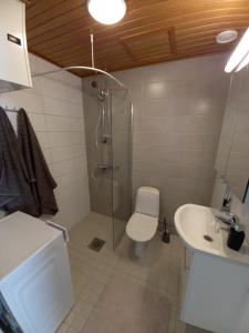 ロヴァニエミにあるHaapalaのバスルーム(シャワー、トイレ、シンク付)