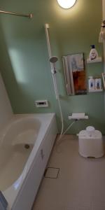 uma casa de banho com um lavatório e um chuveiro. em Guest Room安曇野2466 em Hitoichiba