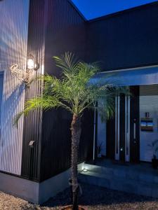 a palm tree in front of a building at Guest Room安曇野2466 in Hitoichiba