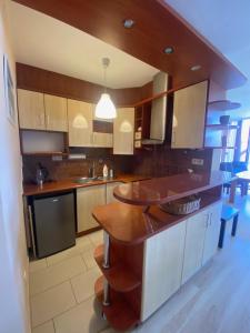 Kuchyň nebo kuchyňský kout v ubytování Apartament Diego + 8 fotografií