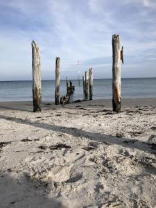 un grupo de postes de madera en la playa en Tiny House en Mariendorf