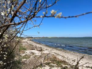 a beach with the ocean in the background at Tiny House in Mariendorf