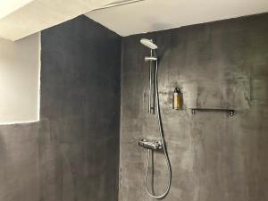 a shower with a shower head in a bathroom at La Clavelière in Saint-Auban-sur-lʼOuvèze +57 photos