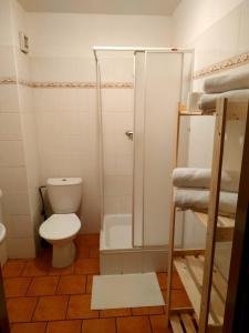 a small bathroom with a toilet and a shower at Hotel Vyhlídka in Lomnice nad Popelkou