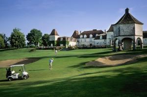a man is playing golf on a green with a golf cart at Périgourdine avec spa et vue in Pomport