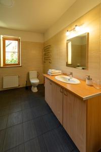 uma casa de banho com um lavatório, um WC e um espelho. em Your Seaside Villa in Jurmala em Jūrmala