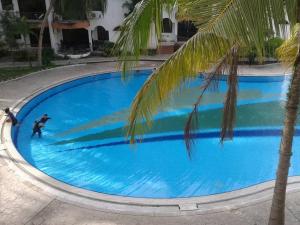 un hombre está jugando en una piscina azul con una palmera en SERI LAGENDA 4, en Kuah