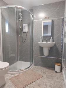 a bathroom with a shower and a sink at The Cove in Aughnacloy