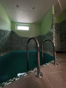 a bathroom with a swimming pool with two metal bars at Zeltini in Riga