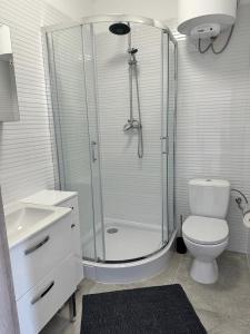 a bathroom with a shower and a toilet and a sink at Ośrodek Polny Kamyk in Wicie