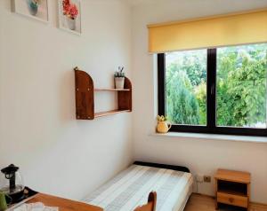 a room with a window with a wooden bed and a desk at Pokoje z łazienkami Obiekt "PRZY ŻEGLARZY" in Ustka