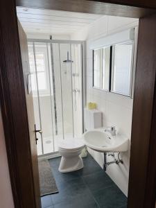 a white bathroom with a toilet and a sink at Bergluft Appartement - Haus Lerchegger in Mössna