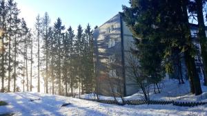 un edificio di vetro nella neve vicino agli alberi di Ferienappartement Winterberg - Bikepark um die Ecke a Winterberg