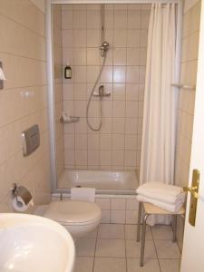a bathroom with a shower and a toilet and a sink at Appartement im 2OG mit 2 Schlafzimmer, WLAN und Waschmaschine, zentrumsnah in Zwickau