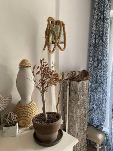 Gallery image of Luxury sea-apartment in Skala Fourkas in Skála Foúrkas