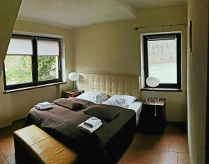 1 dormitorio con 2 camas y 2 ventanas en Złoty Potok Resort, en Złoty Potok