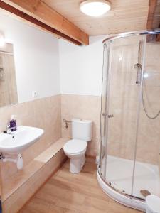 a bathroom with a shower and a toilet and a sink at Penzion Felden in Jablonné v Podještědí