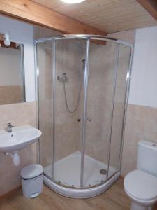 a shower in a bathroom with a toilet and a sink at Penzion Felden in Jablonné v Podještědí