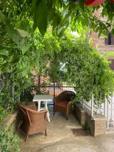 un giardino con sedie e un tavolo sotto una siepe di Il Glicine - Monolocale a due passi dal centro a Urbino