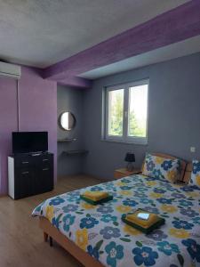 a bedroom with a large bed and a television at PS Apartments - Peshtani in Peštani