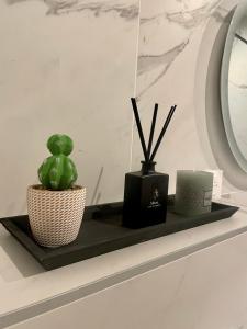 Fotografie z fotogalerie ubytování Appartement avec jacuzzi v destinaci Sassenage
