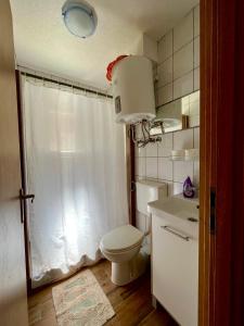 a small bathroom with a toilet and a sink at Villa Anita in Sobra