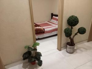 a bedroom with two potted plants and a mirror at Hotel Seven Eleven in Lahore