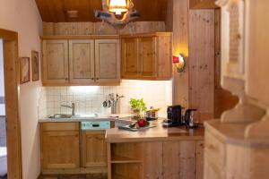 Dapur atau dapur kecil di Appartements Fürstauer, JOKERCARD INCLUDED