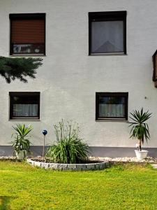 budynek z oknami i roślinami na dziedzińcu w obiekcie Appartment Resi wohlfühlen und relaxen w mieście Eberndorf