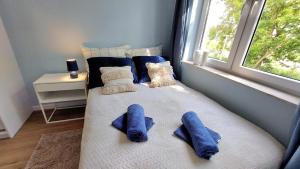 a bedroom with a bed with blue pillows and a window at Apartament Mariacka in Mława