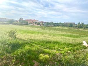 a field of green grass with houses in the background at Casa Campoamor By Solymar Holiday in Cogollos de Guadix