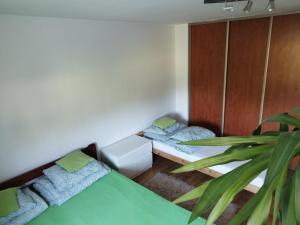 a bedroom with two twin beds and a plant at Zakątek Pod Lasem in Wydminy