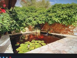 Zahrada ubytování Authentic Finca Ibicenco with Large Pool