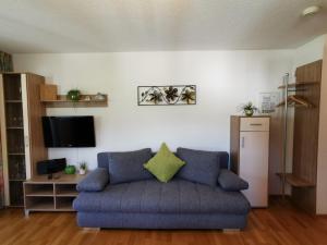 a living room with a blue couch and a tv at Haus Sophia in Tschagguns
