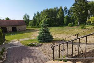 a staircase leading to a house with a christmas tree at Zakątek Pod Lasem in Wydminy