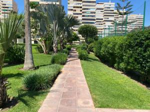 Vonkajšia záhrada v ubytovaní Edificio Playa Mar
