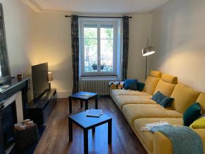 uma sala de estar com um sofá e uma televisão em La maison des douceurs em Bussang