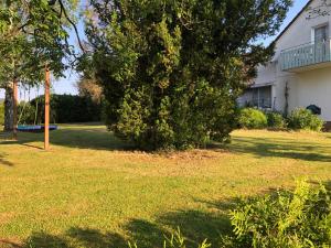 a tree in a yard next to a house at Ferienhaus Hengsbecke 24 in Medebach