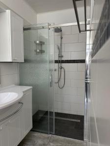 a bathroom with a glass shower and a sink at Ferienwohnung Hosang in Thale +13 photos