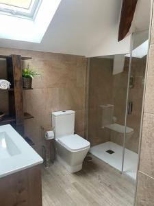La salle de bains est pourvue de toilettes, d'une douche et d'un lavabo. dans l'établissement Apartamento el Ferreiro, à Grado