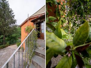 A garden outside Casetta di Butia, Ginestra apartment with swimming pool