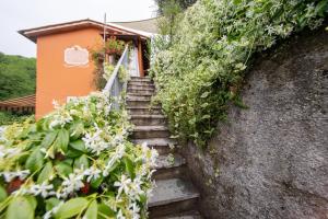 A garden outside Casetta di Butia, Ginestra apartment with swimming pool